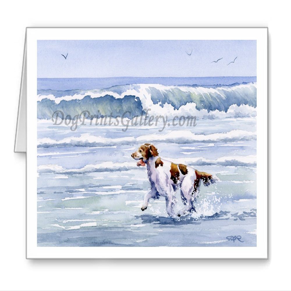 DJ Rogers Fine Art Brittany Spaniel at the Beach - Set of 10 Watercolor Note Cards With Envelopes