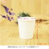 Artnap PS-103 Paper Cups, 5 Ounces, Pack of 100, White, Solid Color, 5.1 fl oz (150 ml), Total of 200 Count view 4