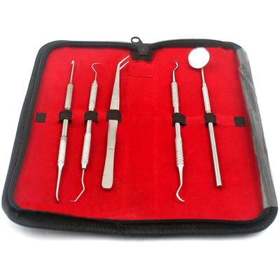 AA PRO Dentist Prepared Tools KIT | Dental Pick Dental Floss Gum Floss THREADERS TOOTHPICKS Dental Hygiene KIT Set Dental Instruments HIGH Grade A+ Quality