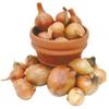 Shallots, 2 Pound, Freshly Harvested, Large to Medium Size, Restaurant Qulaity, Great for cooking with a succulent flavor, a gourmet delight.The amount of shallots depends on size & weight shallot. view 3