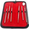 #1 Essential Dental Hygiene KIT 6 PCS BY AA PRO Personal TARTER Scraper - Scaling Instrument, Toothpick & Dental Mouth Mirror Effective Way to Maintain Your Dental Hygiene Between Dental Visits view 1