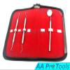 AA PRO Dental Hygiene KIT with CASE - Professional Grade Dentist Tool - Soft Steel Cleaning Set for White Teeth and Healthy Gums - Tartar Removal - Mirror and Scaler A+ Quality view 2