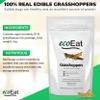 ecoEat Edible Bugs Dehydrated Grasshoppers  15g Pack - Edible Insects Candy Grasshoppers - Snack Food Gifts view 3
