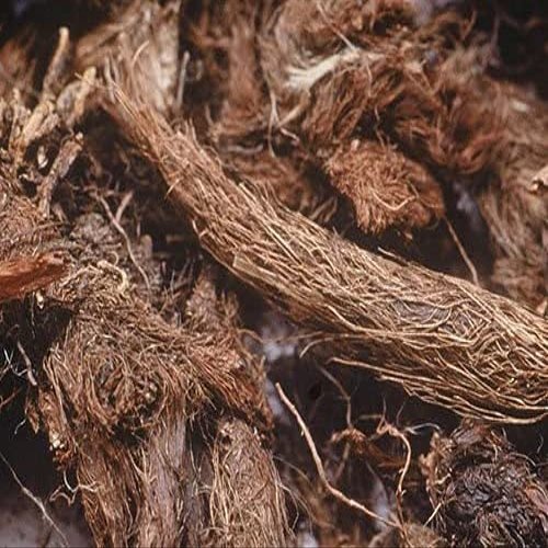 300 GMS JATAMANSI Root Indian Spikenard AYURVEDA Whole