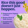 Lundberg Family Farms Organic Jasmine Rice, California White, 32 Ounce view 4