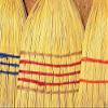 BROOM CORN SEEDS - Sorghum vulgar Mixed,Cream,Gold,Red, Brown,Burgundy and More(1000 Seeds) view 3