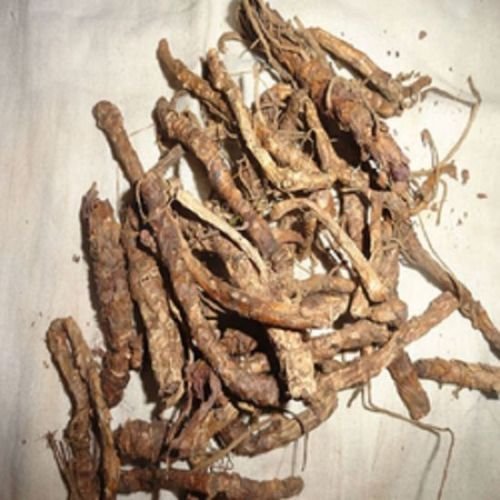 250 GMS KUTKI Root Picrorhiza Kurroa Ayurveda Whole