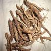 250 GMS KUTKI Root Picrorhiza Kurroa Ayurveda Whole view 1