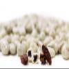 Greek Yogurt Covered Raisins by Its Delish, 10 lbs bulk view 3