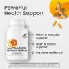 Ultracur Curcumin Complex Supplement - Ultra Bioavailable High Absorption Turmeric Curcumin Supplement for Joint, Muscle & Brain Support - Patented Protisorb for Premium Absorption  60 Capsules view 4