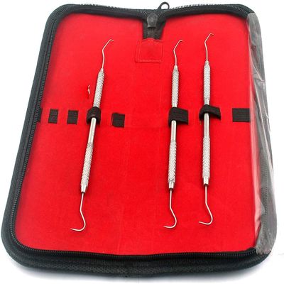 AA PRO Professional Stainless Steel Dental Tool Dentist Teeth Clean Hygiene Explorer Probe Hook Pick Teeth Care A+ Quality
