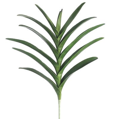 21" Hand-Wrapped Silk Vanda Orchid Leaf Plant Stem -Green (Pack of 6)