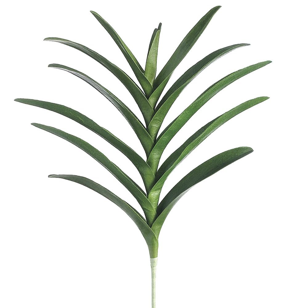 21" Hand-Wrapped Silk Vanda Orchid Leaf Plant Stem -Green (Pack of 6)