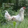 Chicken Bone Broth Powder Organic Free Range 450g(Approx.1lb) Pure Protein Non-Gelling Type view 4