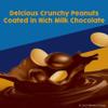 Goobers, Roasted Peanuts and Milk Chocolate, Movie Theater Candy Box, Bulk 15 Pack view 3