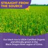 Lotus Foods Organic Forbidden Rice - Black Rice Organic, Purple Rice, Black Rice Bulk, Gluten Free Heirloom Rice, Whole Grain, Non GMO, Vegan - 15 Oz Bag (Pack of 1) view 4