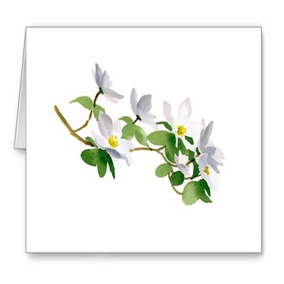 DJ Rogers Fine Art Dogwood Flowers - Set of 10 Note Cards With Envelopes