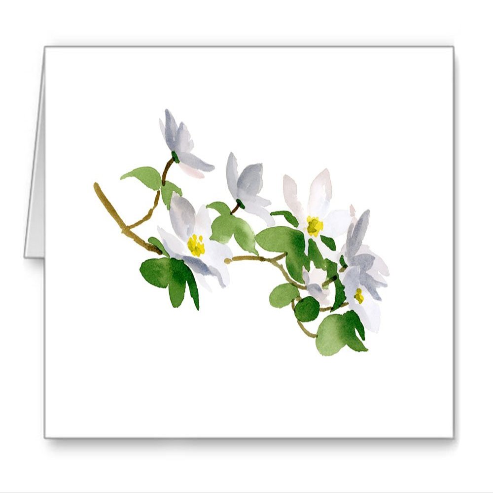DJ Rogers Fine Art Dogwood Flowers - Set of 10 Note Cards With Envelopes