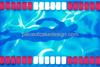 1/4 Sheet ~ Swimming ~ Edible Cake/Cupcake Topper!!! view 1