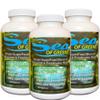 Sea of Greens 3 Pack view 1