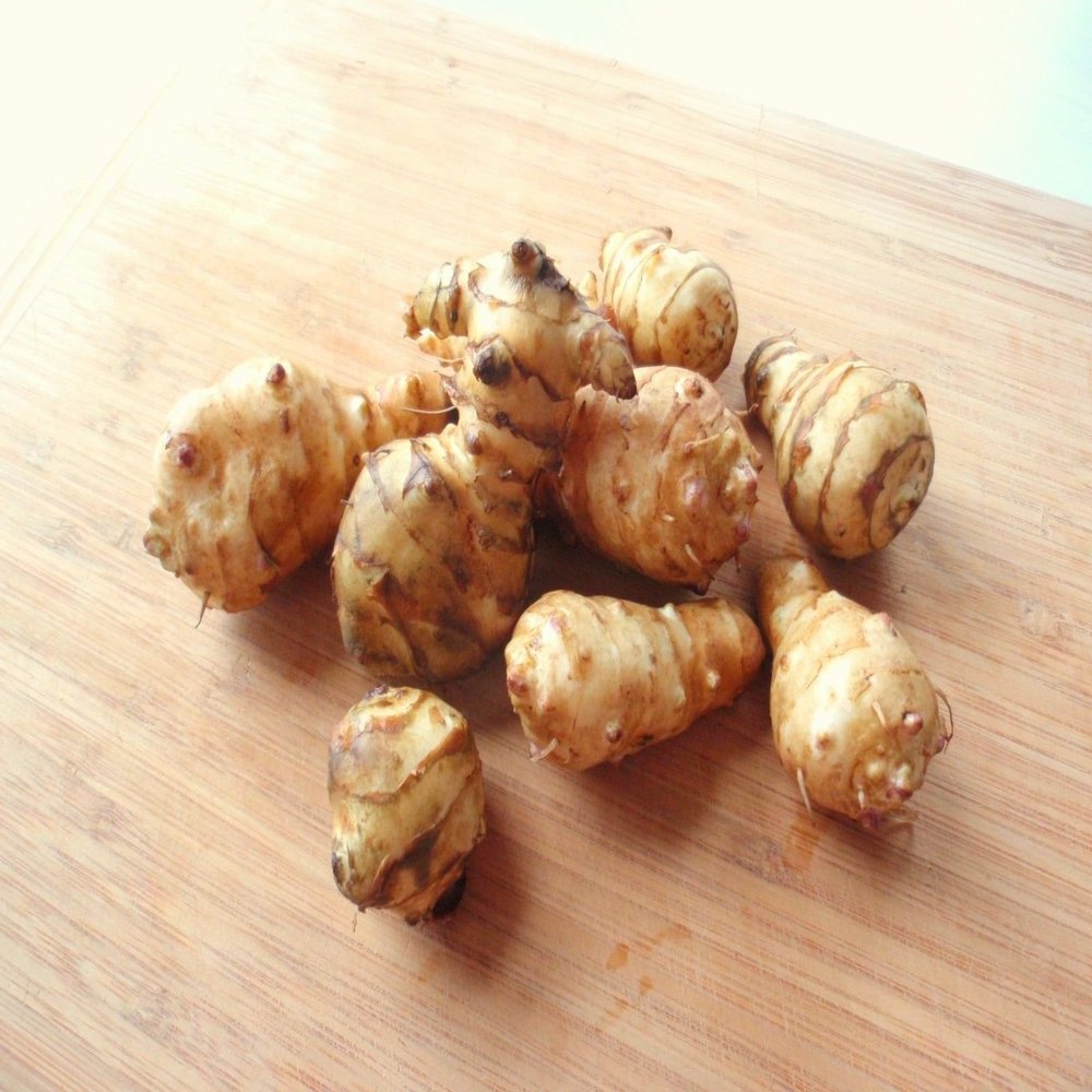 3 tubers Jerusalem Artichoke-Organic Individual Tubers For Planting Sunroot Sunchoke