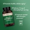 Dr. Mercola Fermented Chlorella with Chlorophyll, 90 Servings (450 Tablets), 2 Bottles, Dietary Supplement, Supports Immune and Organ Health, Non GMO, NSF Certified view 4