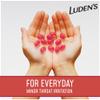Luden's Watermelon Cough Throat Drops, Pectin Lozenge/Oral Demulcent, 25-Count per Pack (6-Pack) view 4
