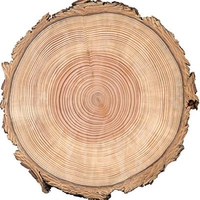 1/4 Sheet - Wood Tree Rings Birthday - Edible Cake/Cupcake Party Topper - D22388