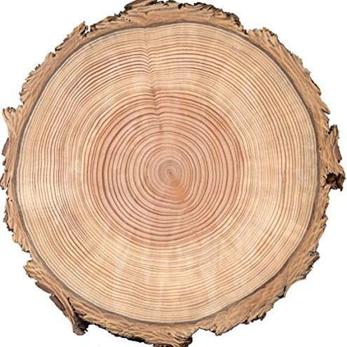 1/4 Sheet - Wood Tree Rings Birthday - Edible Cake/Cupcake Party Topper - D22388