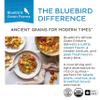 Bluebird Grain Farms Organic Whole Grain Einkorn, 1 Lb. view 4