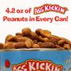 ASS KICKIN' Roasted Spicy Hot Peanuts  4.25 oz - Ultimate Spicy Gourmet Gift Peanuts - Try if you dare! (Habanero Honey) view 2