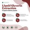 Active Ginseng Korean Red Panax Ginseng with Natural Ginsenosides - Fast-Absorbing Liquid - Supports Healthy Energy, Vitality, Mood and More view 3