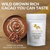 Addictive Wellness Raw Cacao Powder - Wild-Grown Heirloom Mycotoxin-Free Arriba Nacional Chocolate Cocoa Powder Unsweetened, Vegan, Keto & Paleo Friendly Raw Cacao Powder 340g (12 Ounce) view 2