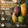 Addictive Wellness Raw Cacao Powder - Wild-Grown Heirloom Mycotoxin-Free Arriba Nacional Chocolate Cocoa Powder Unsweetened, Vegan, Keto & Paleo Friendly Raw Cacao Powder 340g (12 Ounce) view 3