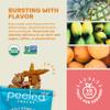 Peeled Snacks Organic Dried Fruit, Paradise Blend with Dried Mango, Pineapple and Banana, 2.8 oz.  Healthy, Vegan Snacks for On-the-Go, Lunch and More view 3