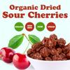 Organic Dried Sour Cherries, 2 Pounds  Lightly Sweetened, Pitted, Non-GMO, Unsulfured, Sour, Bulk view 4