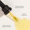 Wally's Natural Organic Ear Oil Drops for Adults, Comforts & Soothes Ears, Trusted Since 1991, Infused with Garlic, Mullein, Tea Tree & Echinacea, 0.5 Fl Oz view 3