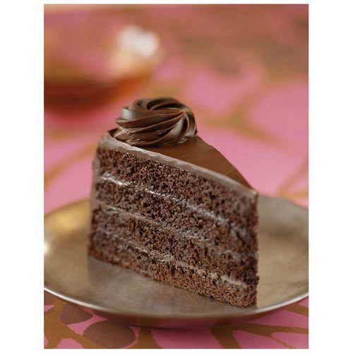 The Dream Factory 10 Inch Fudge Cake, 106 Ounce -- 2 per case.
