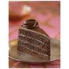The Dream Factory 10 Inch Fudge Cake, 106 Ounce -- 2 per case. view 1