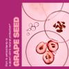 Swisse Grape Seed Extract Capsules | Grapeseed Extract Antioxidant Supplement |with Vitamin C for Skin & Collagen Support | 5 Month Supply view 3