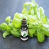 Europa Essentials 100% Pure Therapeutic Grade Essential Oils, 31 Aromatherapy Scents Collection  Basil, 10ml view 2