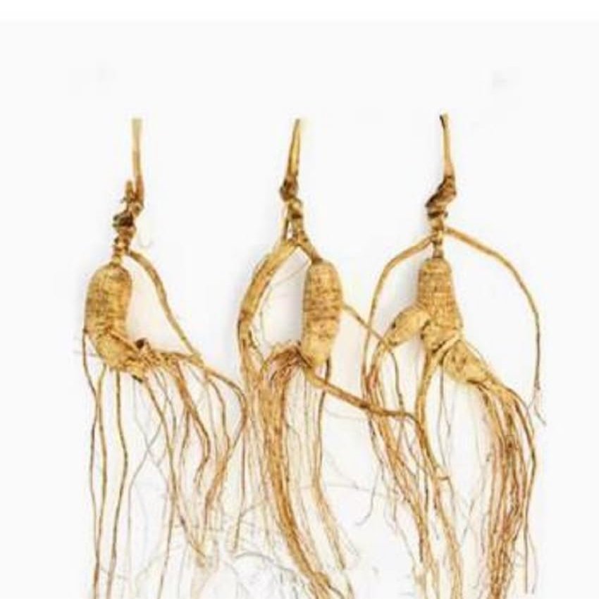 1 Kilo (2.2 lb) Dry Transplant Wild Ginseng Root 10-15 Years relative integrity