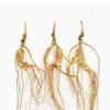 1 Kilo (2.2 lb) Dry Transplant Wild Ginseng Root 10-15 Years relative integrity view 1