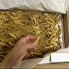 1 Kilo (2.2 lb) Dry Transplant Wild Ginseng Root 10-15 Years relative integrity view 2