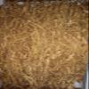 1 Kilo (2.2 lb) Dry Transplant Wild Ginseng Root 10-15 Years relative integrity view 4