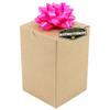 10 x Mighty Gadget (R) Kraft Party Favor Boxes - 4 x 4 x 6 Gift Boxes view 4