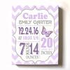 Personalized Stretched Canvas Birth Announcement Gift, Custom Baby Name, Date, Weight Stats, Newborn Butterfly Nursery Wall Art Decor, Wooden Frame Construction, Ready to Hang 24X30 view 1