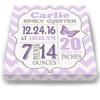 Personalized Stretched Canvas Birth Announcement Gift, Custom Baby Name, Date, Weight Stats, Newborn Butterfly Nursery Wall Art Decor, Wooden Frame Construction, Ready to Hang 24X30 view 2