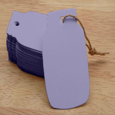100 Pcs Mason Jar Shaped Cardstock Tags Wedding Favor Blank Hang Tag Gift with Free Natural Jute Twine - Colors Available