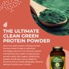 HealthForce SuperFoods Elite Green Protein Elite Mesquite 500 Grams Powder view 4